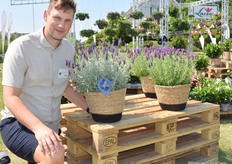 Dennis Foldbjerg Gadeberg van Graff Breeding, de veredelaar van deze Lavendel, een nieuw ras in de Qdula serie van Graff. "Deze plant past heel goed in de trend van zilver blad. De combinatie van zilver blad en paarse bloem is erg populair. Als de herfst en winter eraan komen, behoudt het blad zijn kleur. Dus zonder blad nog steeds een mooie plant."